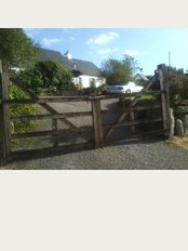Ann Killeen - Clare Acupuncture & Herbal Centre - Caher, Crusheen, Ennis, Co Clare, V95 R296, 