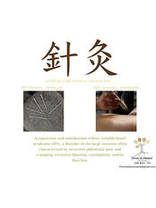 Acupuncture consultation - Perrine de Montard Acupuncture