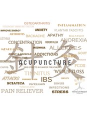 Acupuncture consultation - Perrine de Montard Acupuncture