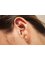 Acupuncture & Homeopathy Center - Auricular Acupuncture 