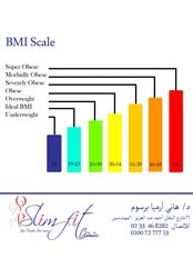 Bariatric Surgery Consultation - Slim Fit Clinic - Dr. Hany Armia