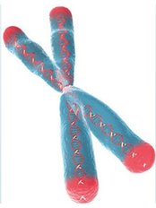 Telomere Tests - Health Check For Longevity - Nuacell Clinic