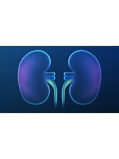 Kidney Transplant - Estheroyal