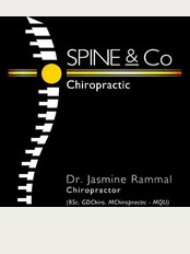 SPINE & CO CHIROPRACTIC - 2/2, MAGDALENE TERRACE,, WOLLI CREEK, NSW, 2205, 