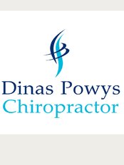Dinas Powys Chiropractor - Dinas Powys Medical Centre, Murch Road, Dinas Powys, Vale of Glamorgan, CF64 4RE, 