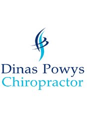 Dinas Powys Chiropractor - Dinas Powys Medical Centre, Murch Road, Dinas Powys, Vale of Glamorgan, CF64 4RE,  0
