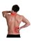 Alpha Chiropractic and Sports Injury Clinic - Back Pain Treatment Hemel Hempstead 