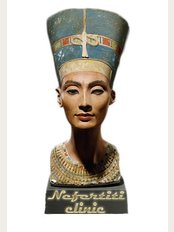 Nefertiti clinic - nasr city-cairo -egypt, cairo, 