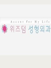 Wisdom Plastic Surgery - 183 Nonhyeon-dong, Gangnam-gu, Seoul, 
