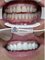 Transform AfterCare - COSMETIC DENTISTRY 