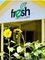 Fresh Dental Care – Urunga - 46 Bonville Street, Urunga, NSW, 2455,  1