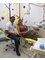 Dr. Varun Nambiar's Dental Clinic & Implant Centre - opp:police station, court road, payyannur, kerala, 670307,  6
