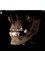 CAD/CAM Cosmetic Technology, Dental Artistry Dental Center - 4D cone beam scan 