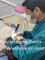 Platinum Dental Care - Sonora Sreet #106-A, Centro, Nuevo Progreso, Tamaulipas, 88810,  8