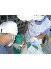 Implant Dentist Consultation - OdontoFlores Dental Spa