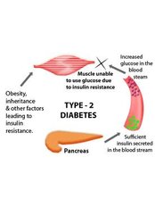 Type II Diabetes - Happi Rehab Center