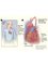 The Cardiac Surgeon - Coronary Artery Bypass Grafting 