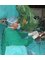 Dr Kishore FRCS : ENT & Cochlear Implant Specialist - Auditory Brainstem Implantation 