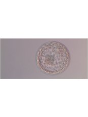Embryo Donation - Ovoclinic