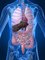 Biomedical Clinics - IBS crohns stomach issues 
