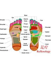 Reflexology - Morley Chinese Acupuncture & Herbs Clinic
