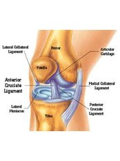 Knee Reconstructive Surgery - Orthopaedic Surgery India