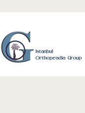 İstanbul Orthopeadia Group - Istanbul Orthopeadia Group / Ortopedia and Travmatologia