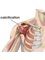 City Physiotherapy and Sports Injury Clinic - Shoulder Pain Adelaide 
