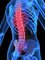 RD-PHYSIO mobile physiotherapy - back pain-rd-physio-hull 