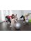 Cowan House Health, Consulting & Lifestyle Centre - Swiss Ball Pilates at Cowan House 