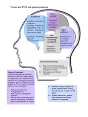 Psychologist Consultation - BrainCurve