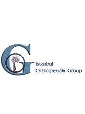 İstanbul Orthopeadia Group - Istanbul Orthopeadia Group / Ortopedia and Travmatologia