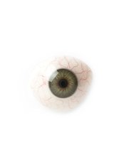 ART-LENS Ocular prosthesis - ART·LENS Prostehtic eyes
