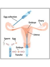 Fertility Specialist Consultation - Shivam Hospital